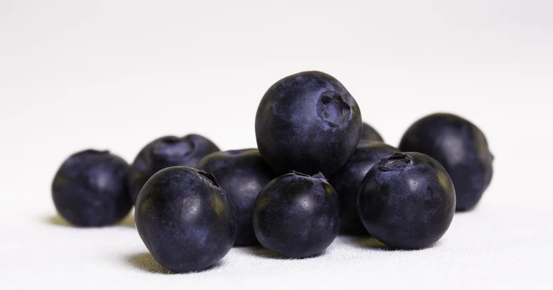 Les modes d’intégration selon les types d’aliments